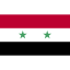 2634430_ensign_flag_nation_syria_icon